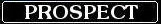 Prospect
